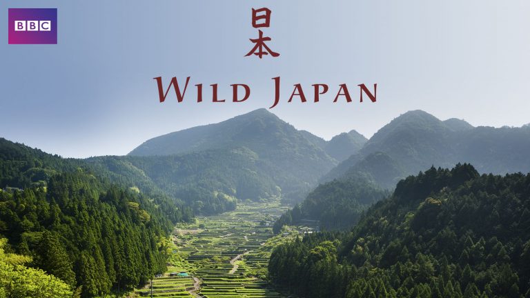 netflix-Wild-Japan - Nflix.pl - top filmy i seriale